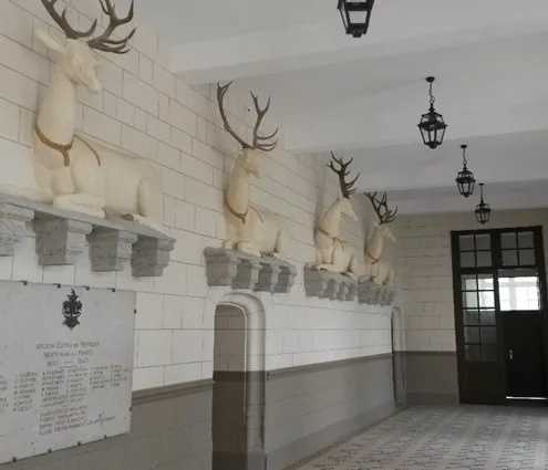 Hall patrimonial
